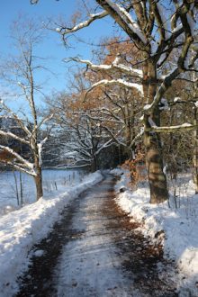 saby-road-winter-500x330