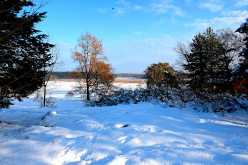 saby-landscape-1-500x330