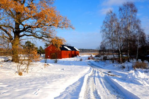 saby-landscape-3-500x330